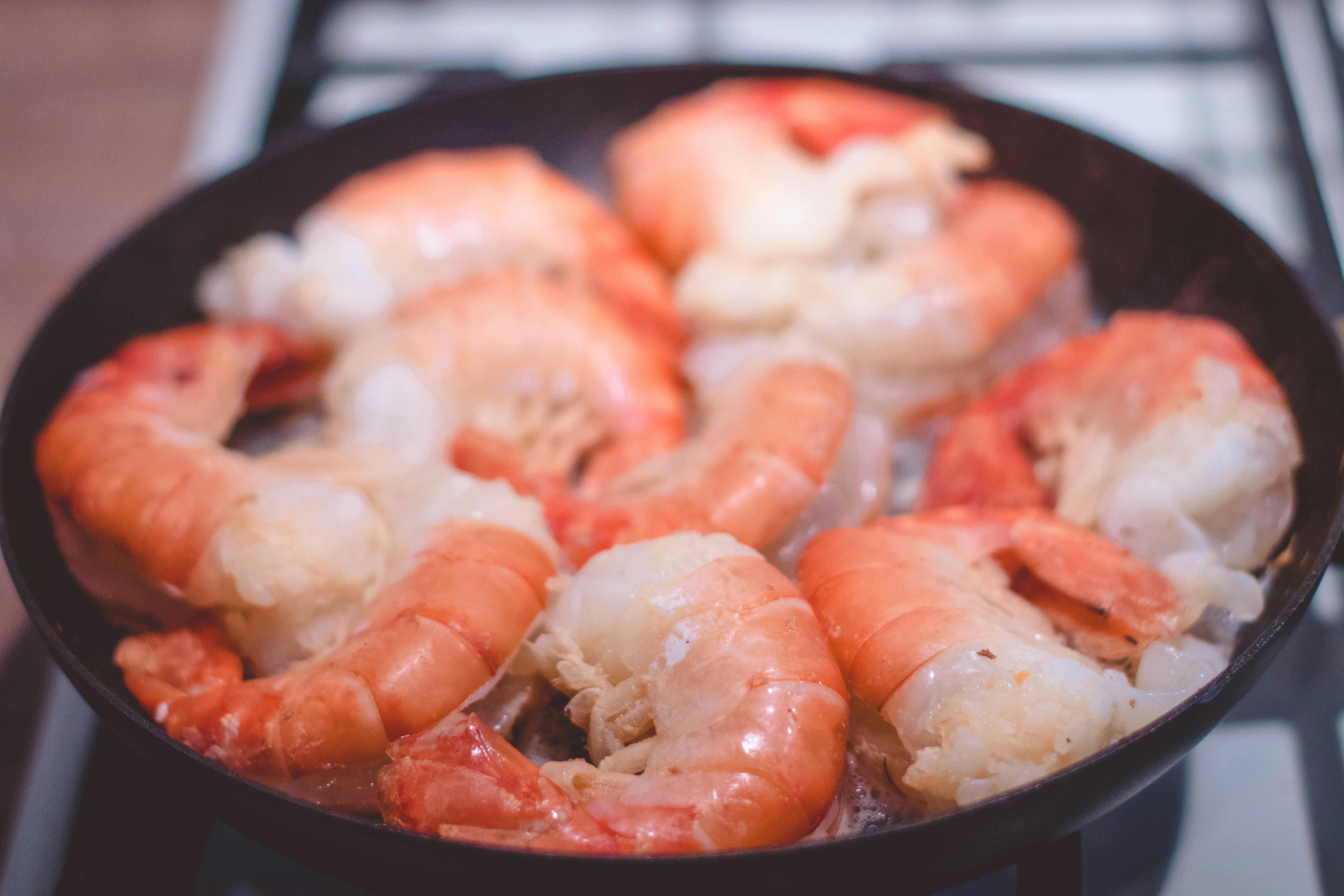 Shrimp